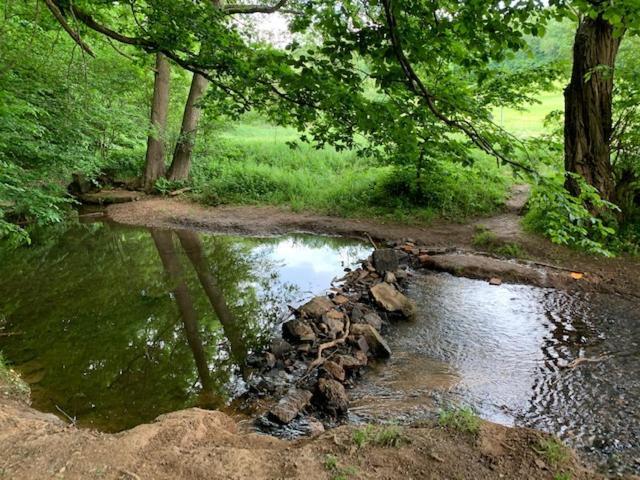 Отель "An Der Lindenberganlage" Мельзунген Экстерьер фото